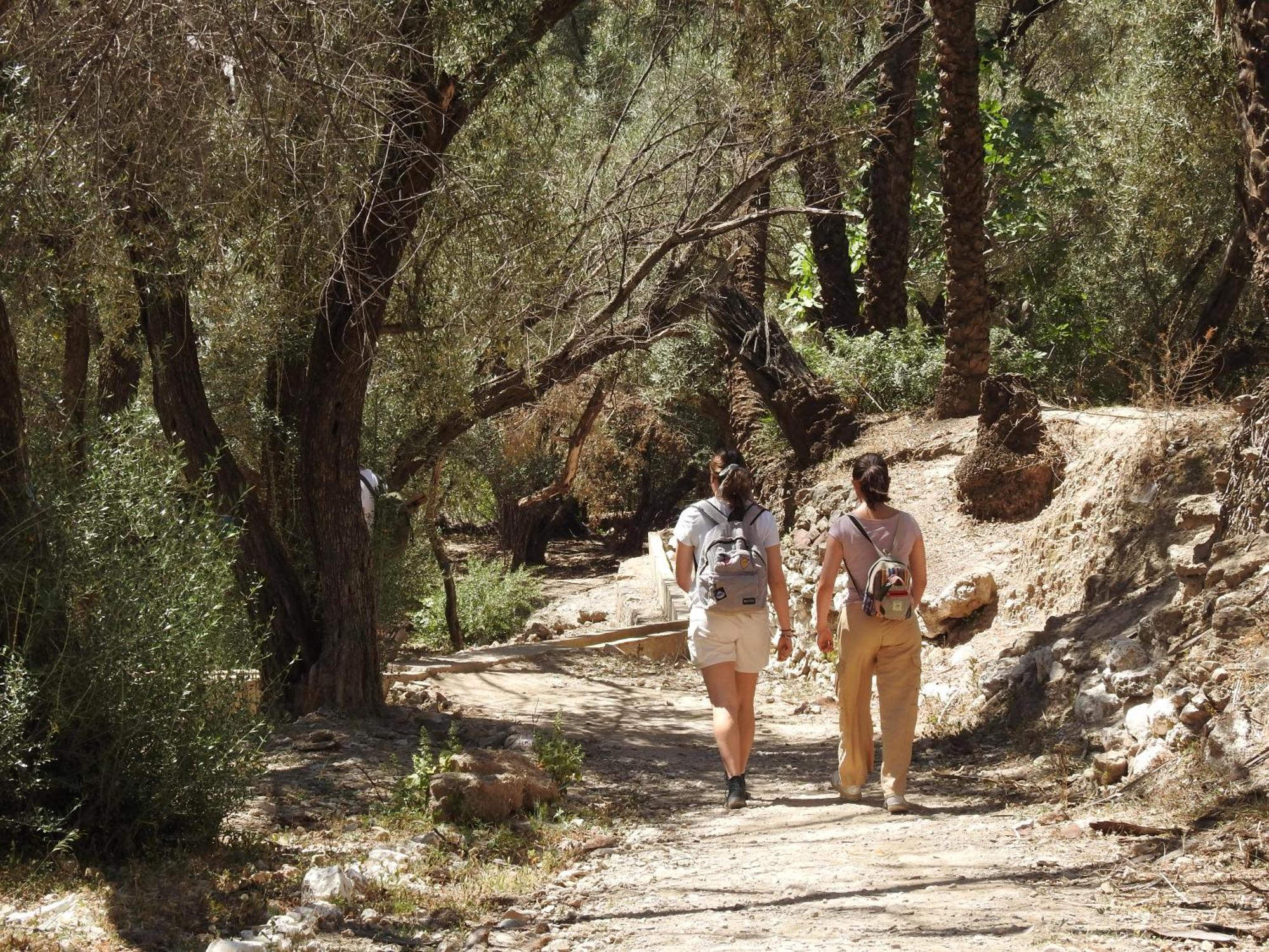 Surf And Hike With Moroccan Break Apartment